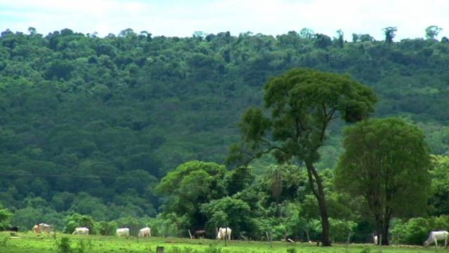 Reserva Biológica dos Perobas Página Inicial