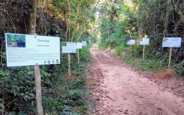 Reserva das Perobas