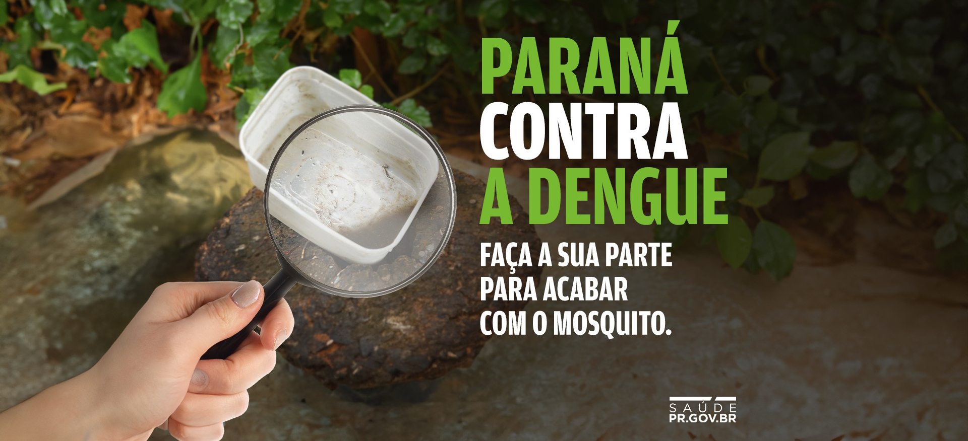 Paraná Contra Dengue